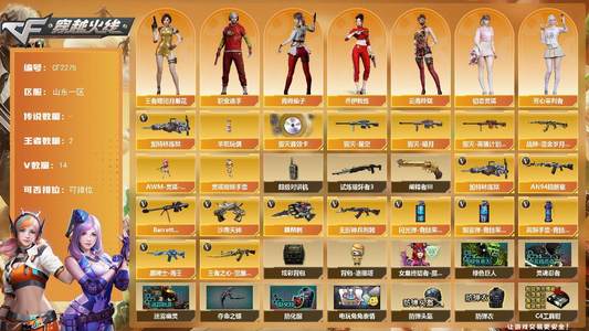 穿越火线（CF）2王者武器 14V武器 18V角色 4皮肤 可排位