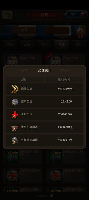 战火与秩序【69级】589神1骑法