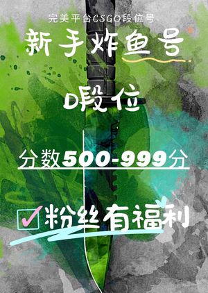 CSGOCS2完美新手炸鱼D号带改名卡