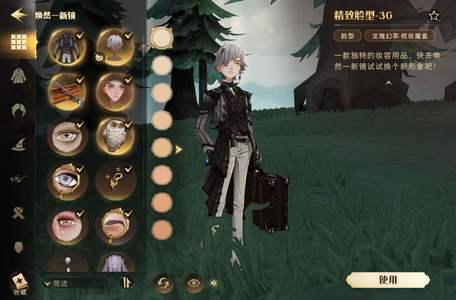 哈利波特：魔法觉醒狮男放逐规则精致30