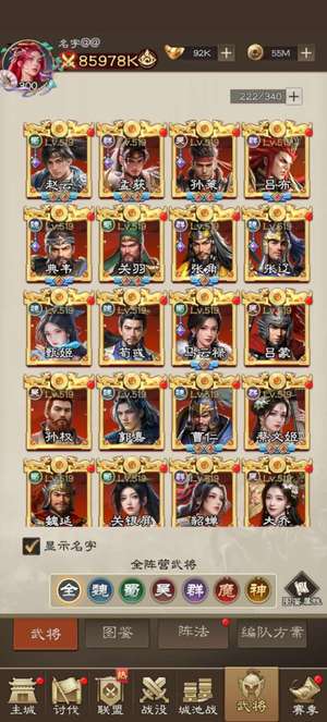 欢乐战三国VIP 9