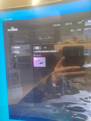 绝地求生（PUBG）卡宴一成长猛虎套背包