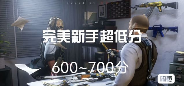 CSGOCS2完美新手炸鱼D号带改名卡