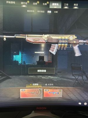 绝地求生（PUBG）低价出售双皮肤带异色