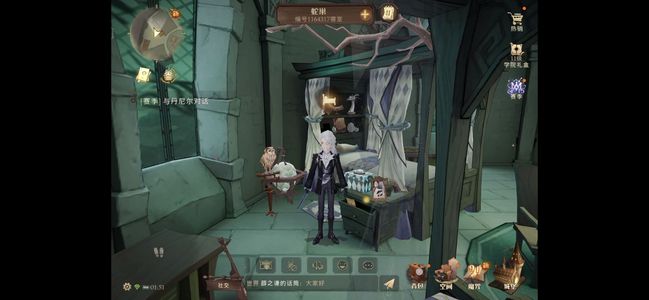 哈利波特：魔法觉醒【93级】魔法觉醒精养号