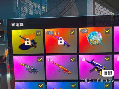 绝地求生（PUBG）生存等级60 名誉等级2 成长武器2 究极 载具 枪皮三级美杜莎762二级平底锅