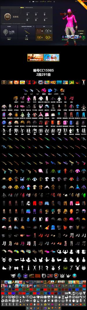 绝地求生（PUBG）6霓虹11