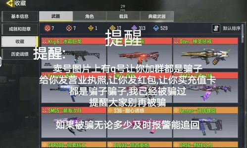 PUBG M（外服）买号大家小心骗