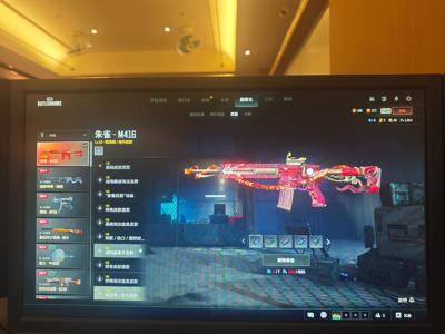 绝地求生（PUBG）生存等级67 名誉等级2 成长武器 究极 载具 枪皮锦鲤号 朱雀M416$