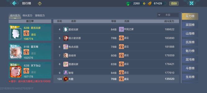 妄想山海307在榜实战号