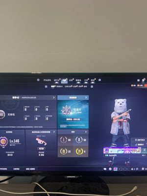 绝地求生（PUBG）五段妹子号