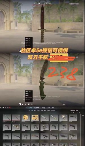 CSGO刺刀社区锁单5E