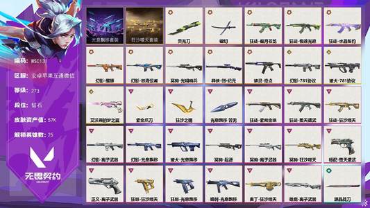 无畏契约：源能行动10传奇 3终极 19卓越 96皮肤 25英雄 23卡面 19挂饰 钻石