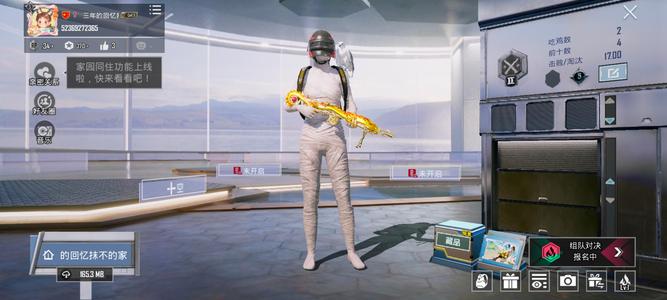 PUBG M（外服）PUBG极品账号