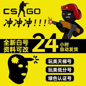 CSGOCS2完美新号带改名卡上号即玩