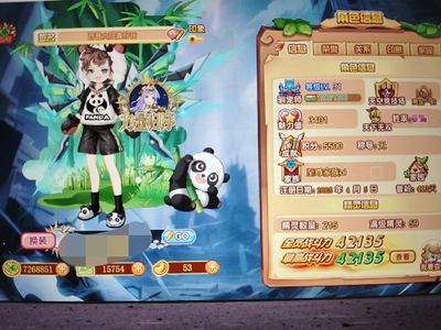 西普大陆（网页版）8西普大陆低价处理号