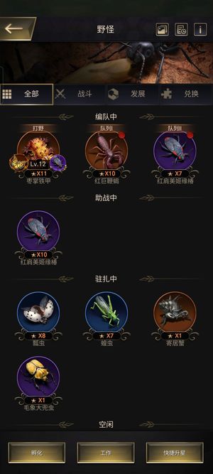 小小蚁国【25级VIP10战力2990,0000】11星枣掌铁甲10红巨鞭3t9