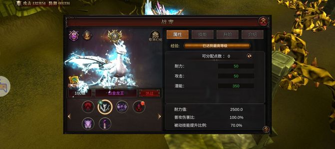 暗夜奇迹【797级】牛逼号，物有所值