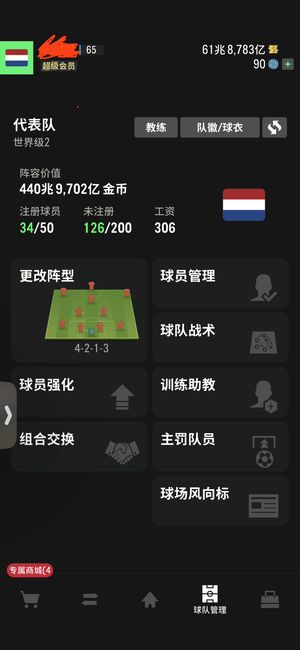 FC Online 足球在线4荷兰套 500兆