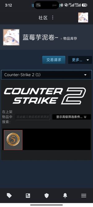 CSGOcs优先自用号，有勋章