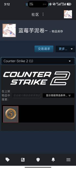 CSGOcs优先自用号，有勋章