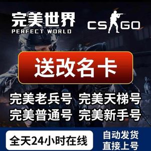 CSGO Cs2完美白号带改名卡