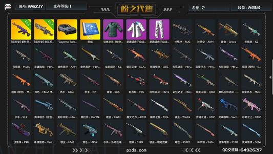 绝地求生（PUBG）生存等级1 名誉等级2 成长武器2 究极11 载具1 枪皮58成品车皮和2把成长皮肤