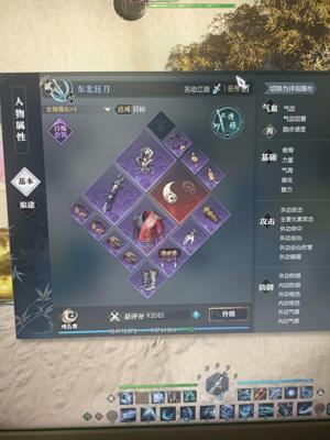 逆水寒【69级碎梦】92000战力  四级帮会