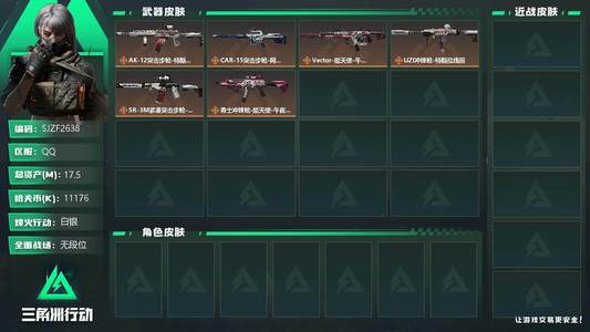 三角洲行动【总资产17M白银】【SJZF2638】总资产(
