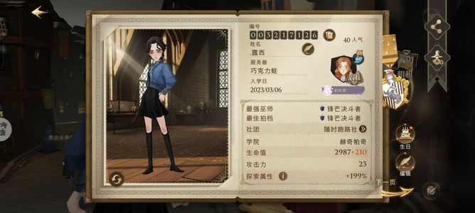 哈利波特：魔法觉醒哈利波特獾女