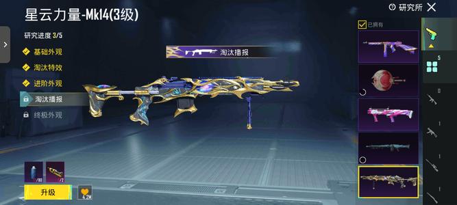 绝地求生（PUBG）星云苍龙枪