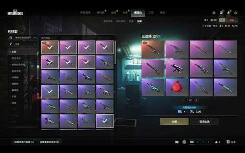 绝地求生（PUBG）二级ACE 毒液berry