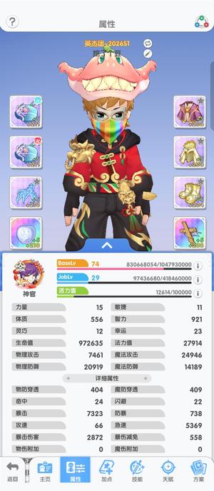 仙境传说：重生满进度奶妈，双彩饰品 仓库双彩