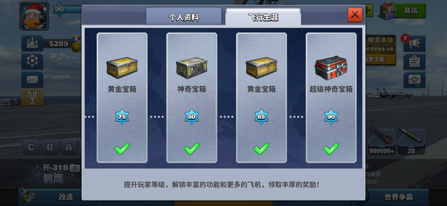 空战争锋90级 双十敏官方号