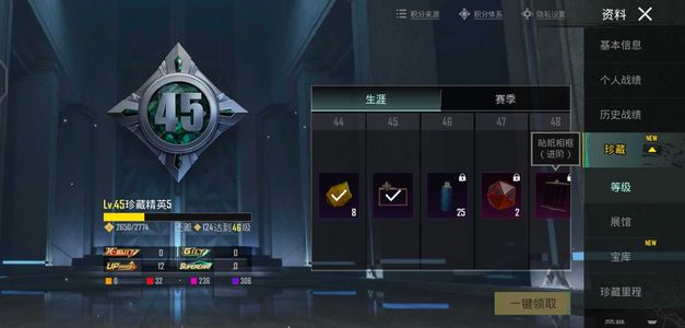 PUBG M（外服）Pub gm