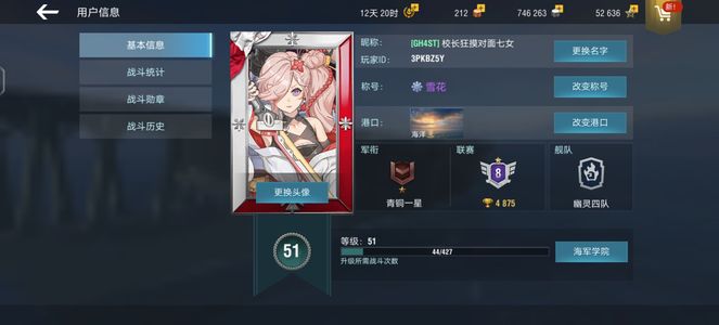 战舰世界闪击战【66级】截图非常详细 充了不少