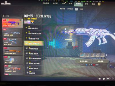 绝地求生（PUBG）生存等级10 名誉等级1 成长武器1 究极 载具 枪皮1白色美杜莎