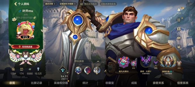 英雄联盟手游（lol手游）【113级】V区王者80星