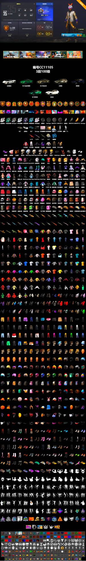 绝地求生（PUBG）满级朱雀M4,满级彩虹M24