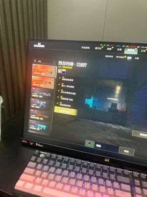 绝地求生（PUBG）满级异色喷子 ace 烟雾手枪