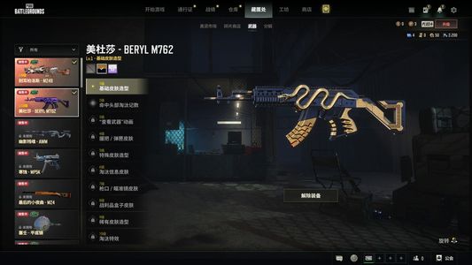 绝地求生（PUBG）生存等级10 名誉等级2 成长武器 究极 载具 枪皮美杜莎加金异色 大菠萝