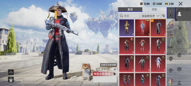 PUBG M（外服）极品小号号