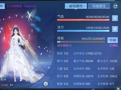 倩女幽魂【160级医师】18套仙家双绝医生
