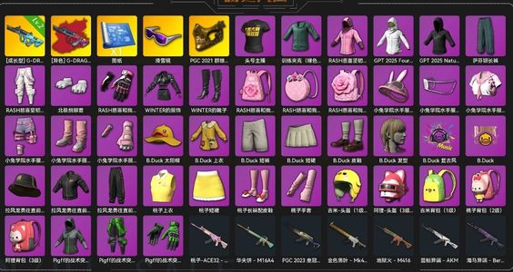 绝地求生（PUBG）2级权志龙带异色带女团内购多