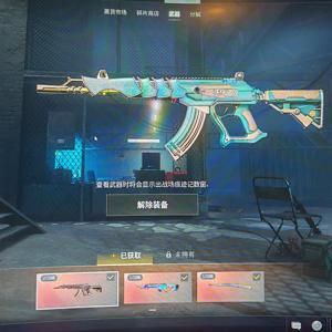 绝地求生（PUBG）精品小号带异色