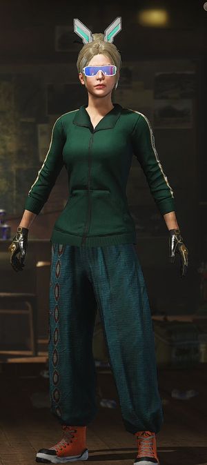 绝地求生（PUBG）生存等级1 名誉等级1 成长武器1 究极 载具4 枪皮60美杜莎，黄烟，萨芬娜长裤