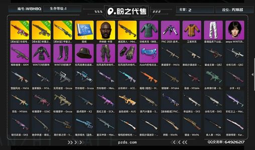 绝地求生（PUBG）三特效，金冬天，890票