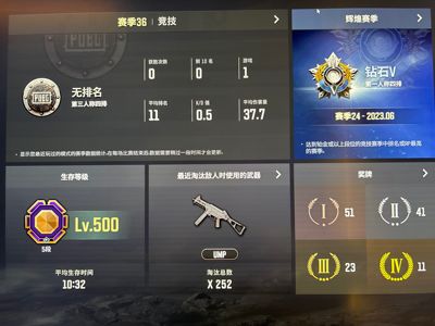 绝地求生（PUBG）满段500级