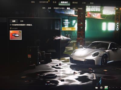 绝地求生（PUBG）成品保时捷911.AWM异色