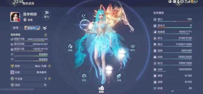 妄想山海【99级】雷神第一梯队双神兽绝版莲花台子